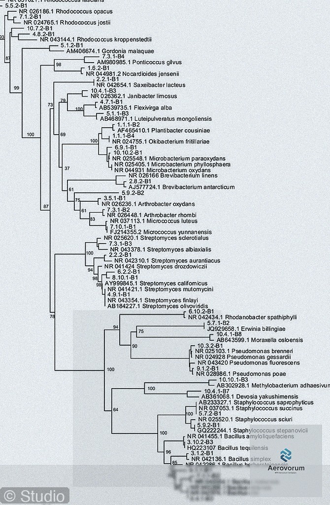 Dijital Dönüşüm Yolculuğunda Veritabanı Stratejilerinin Önemi - section 5